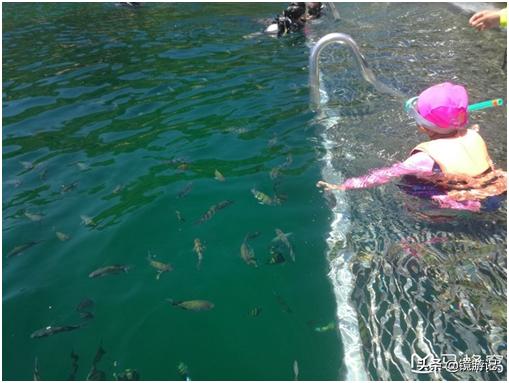 大马地方美食,走吧去吃饭泰语