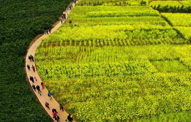 成都小众网红打卡地,成都最值得去的小众打卡地