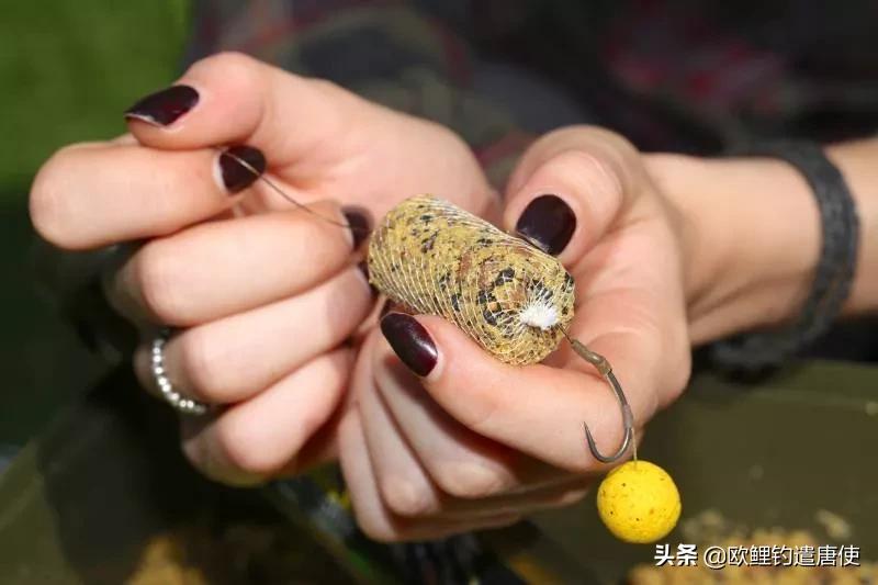 欧洲疫情催生钓鱼热？名企推新手套装钓大鲤鱼