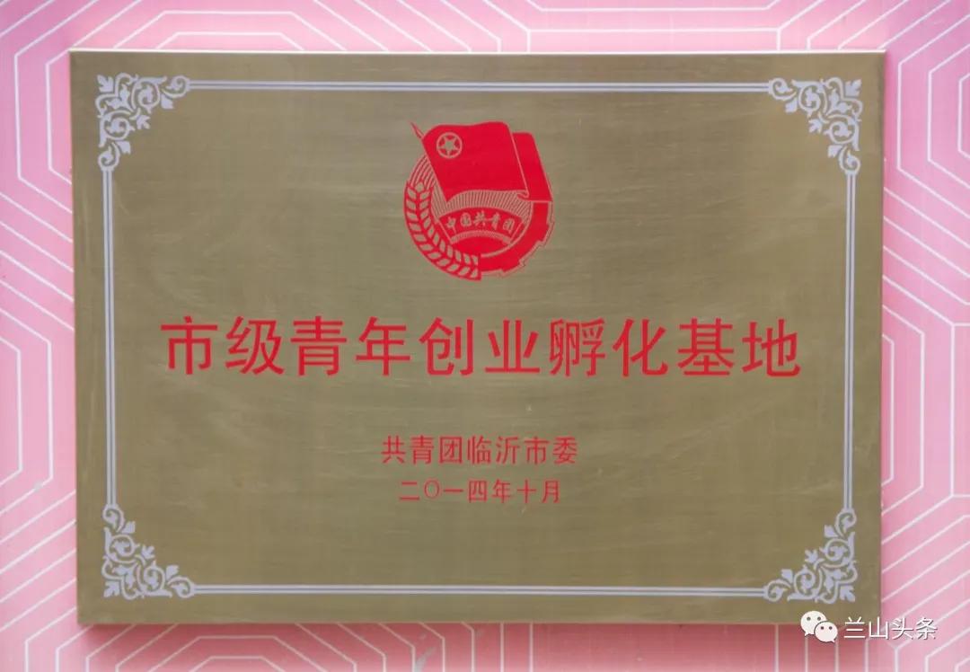 【“双创”看兰山】企业篇/517国际众创空间：一站服务创业无忧