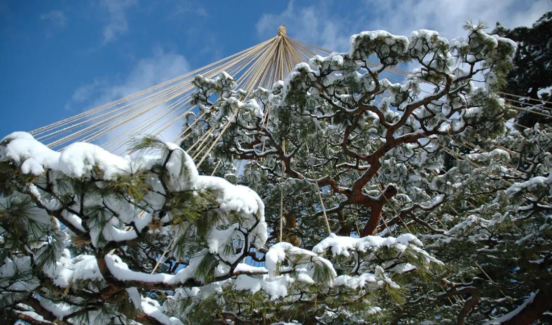 金泽这个名字怎么样,金泽是属于上海还是属于江苏