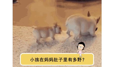 撸过猫撸过狗但你撸过“鱼”吗?