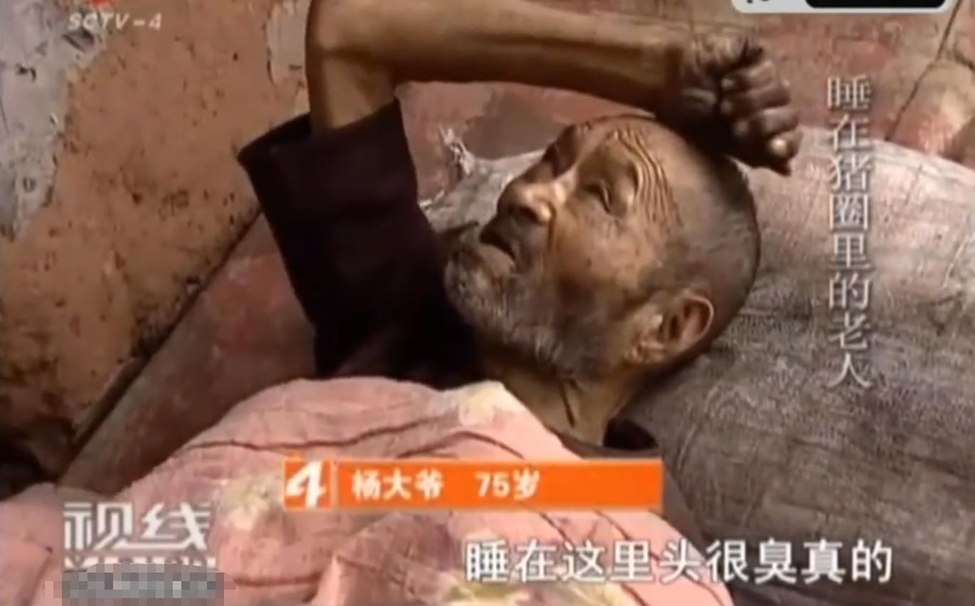 不孝女让7旬老人住猪圈现状,女儿让爸爸住猪圈什么原因