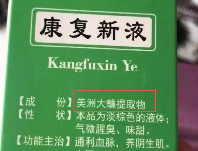 广东的蟑螂有多可怕,广东的蟑螂有多可怕动画版