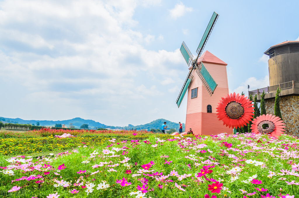 荷兰你不知道的10个冷知识,荷兰100条冷知识