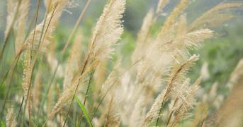 快乐的苏州西山农家乐之旅,苏州西山农家乐自驾游攻略图