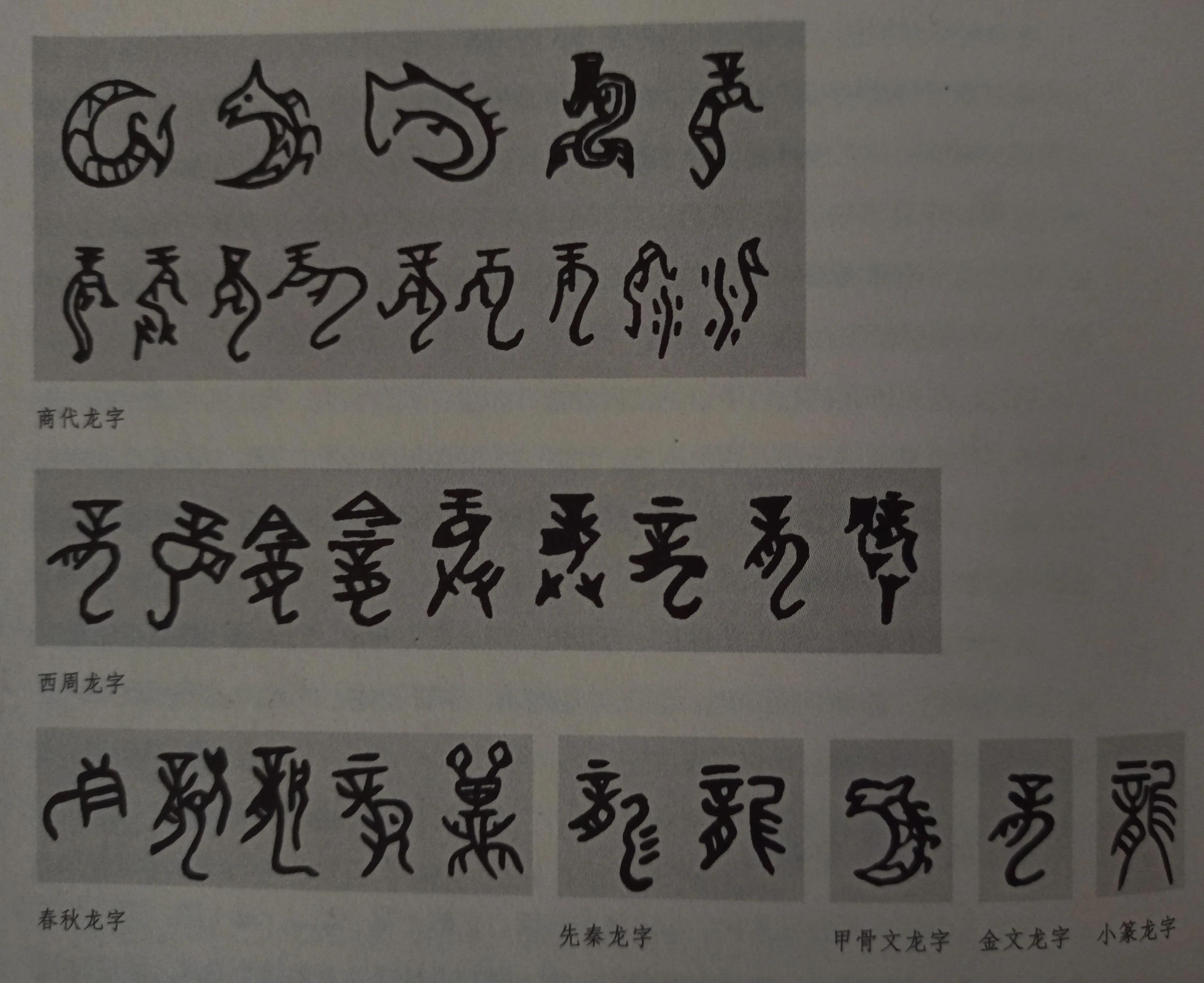龙那么弱为什么还说是龙的传人,龙的传人龙的形象突出反映了什么