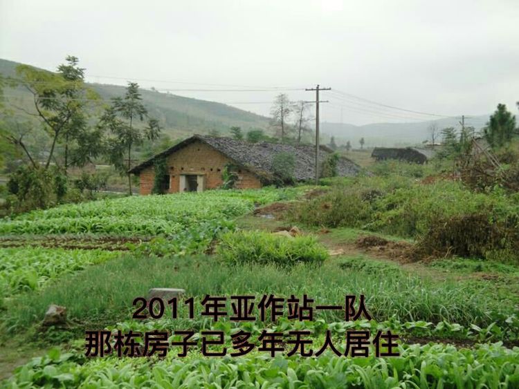 难以释怀的知青情结,60年代的知青情结