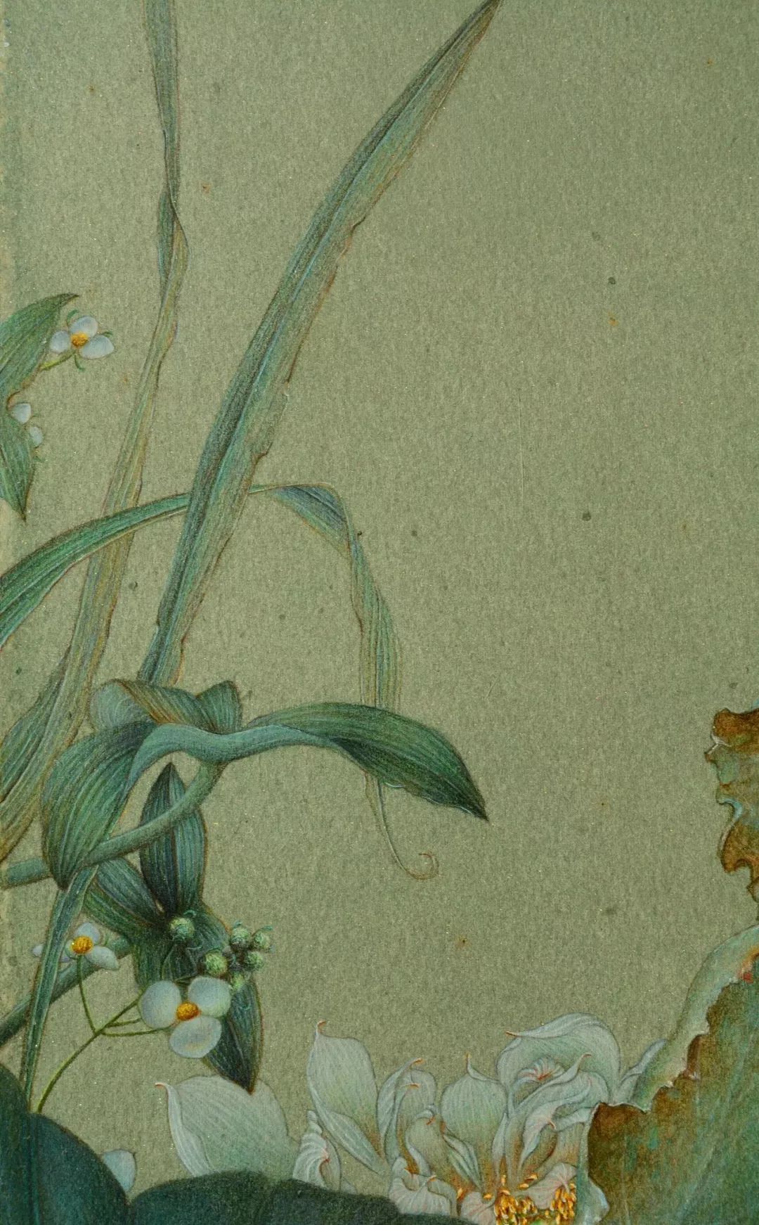 美到炸裂的古风美人,美到极致的古风美人