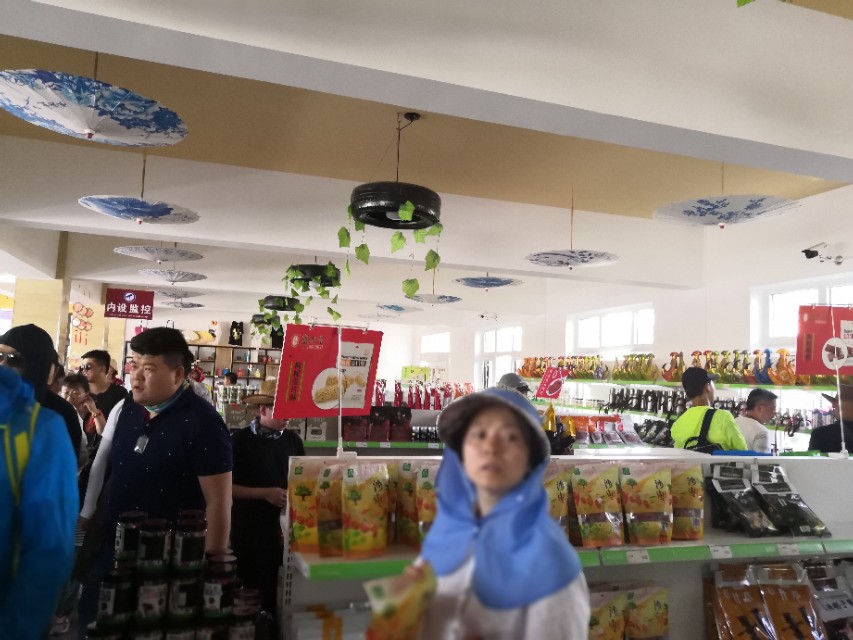 中卫沙坡头攻略,中卫沙坡头一日游攻略