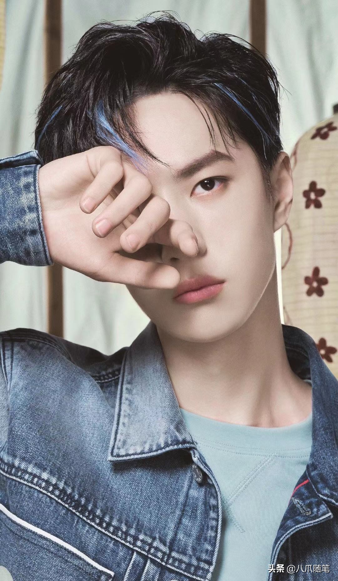 最黑的牡丹黑豹,最黑牡丹黑豹