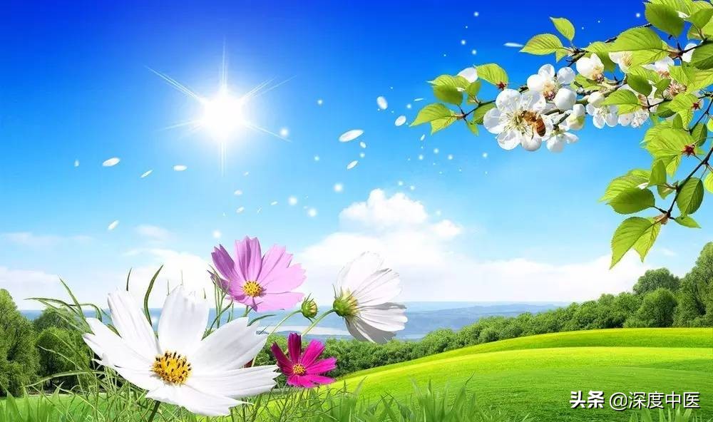 王永炎预测新型冠状病毒,王永炎疫情预测视频