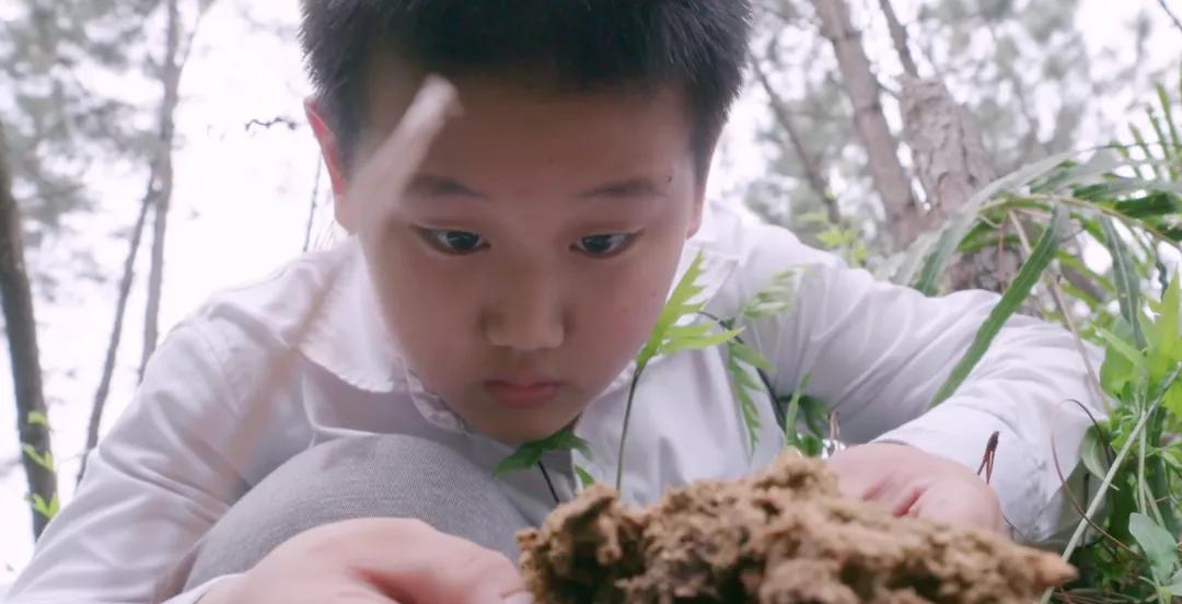 6个中国00后成长纪录片，羡慕他们有如此强大的父母