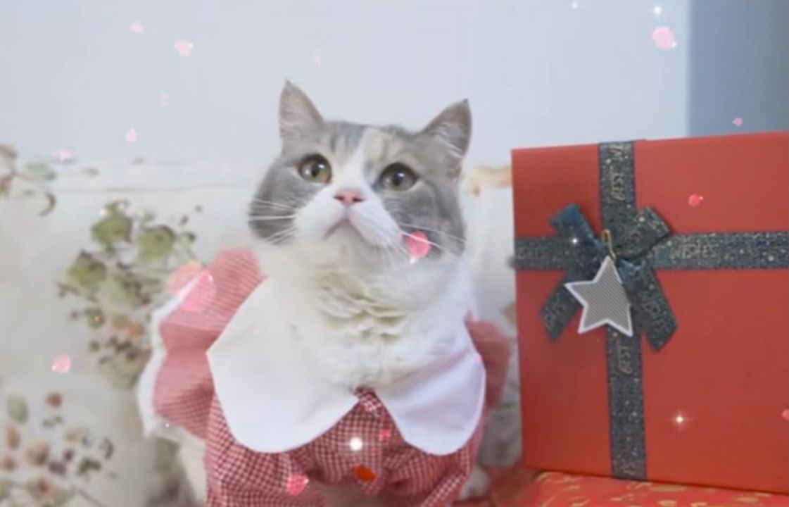 520送对象礼物攻略,520节日的时候送什么礼物最好情侣