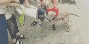 暑期谨防儿童意外伤害,暑期儿童安全隐患有哪些