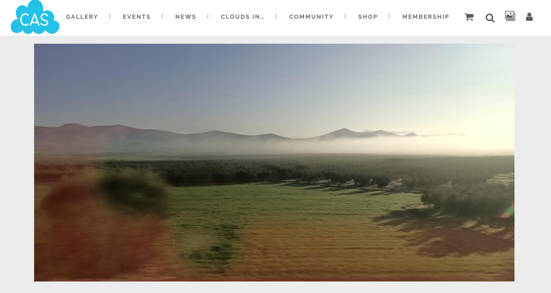 在森林书店的日子,在森林里看书的女孩