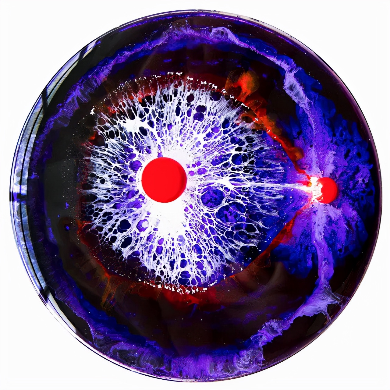 鑲犻亾閲岀殑鎺㈢储,鑲犻亾鍐呯殑涓栫晫