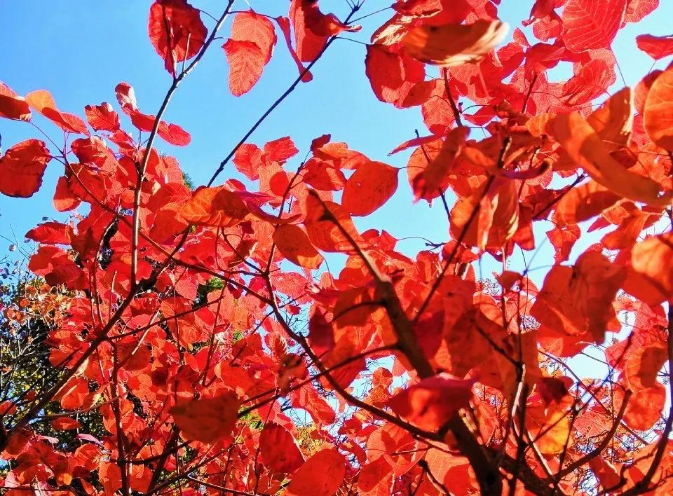 打造地方特色文旅项目,重磅打造的文旅项目