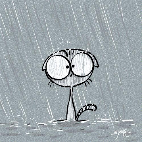 止泻药和猫砂,猫砂是止泻药吗