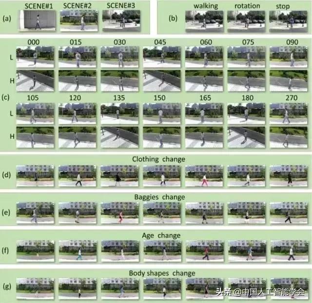 CCAI2019|王亮：计算机视觉研究突飞猛进，走向实用仍任重道远