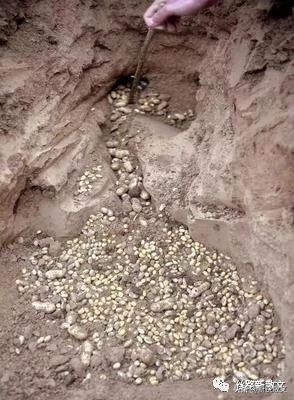 与继母相处六年，我从来不和她说话，直到我二十岁，她给我过生日