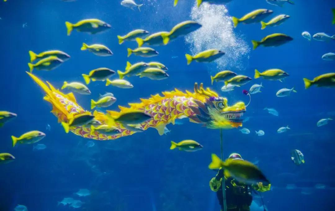 返乡车票千万别扔,今年带你免费游“江西”!