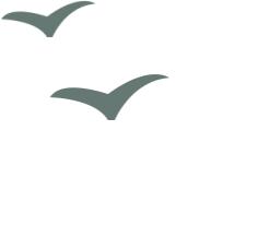 事业单位招聘961人,招聘事业单位工作人员133人有编制