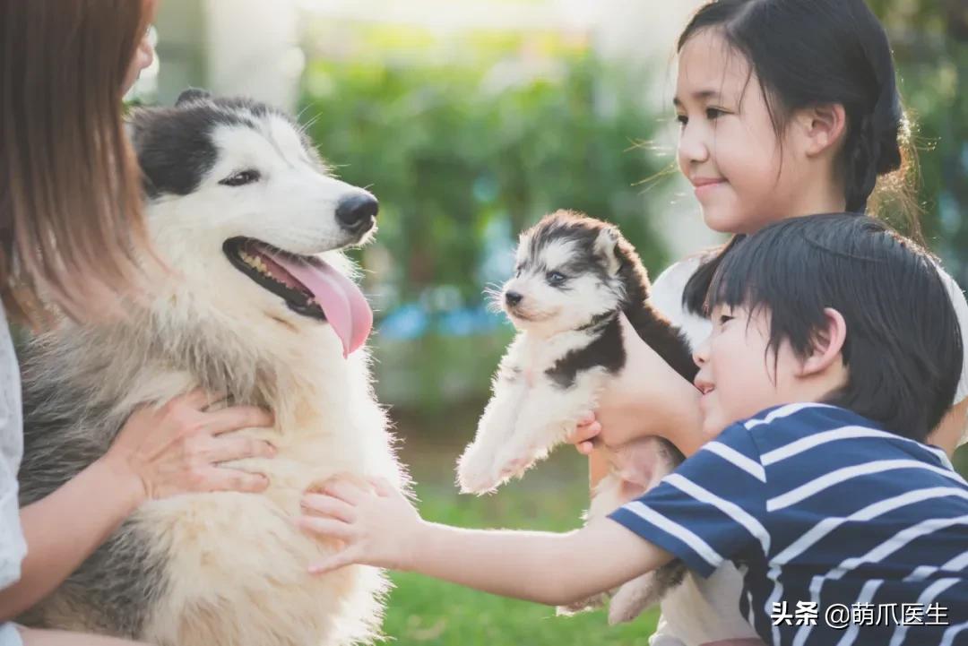 鐚吇浜虹被,鐚吇鍏殑绮樹汉杩樻槸姣嶇殑绮樹汉