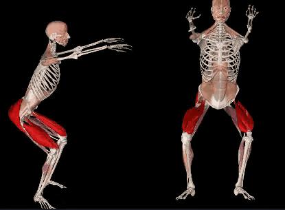 深蹲和俯卧撑是最好的力量训练,深蹲俯卧撑做法