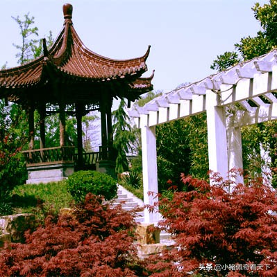 姜堰的发展怎么样,姜堰中学全省排名多少