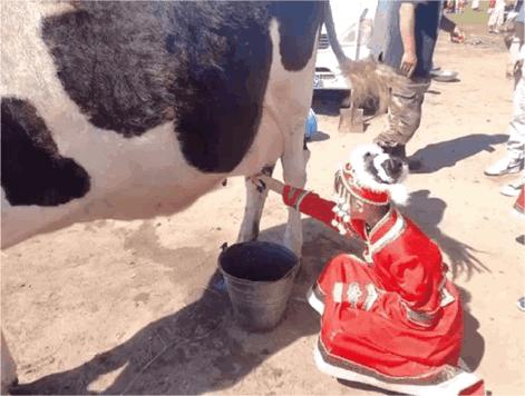 暑假带孩子内蒙古旅游攻略,暑期内蒙古亲子游鄂尔多斯