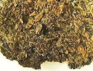 中国三次革命分别是什么,两次粮食革命是什么