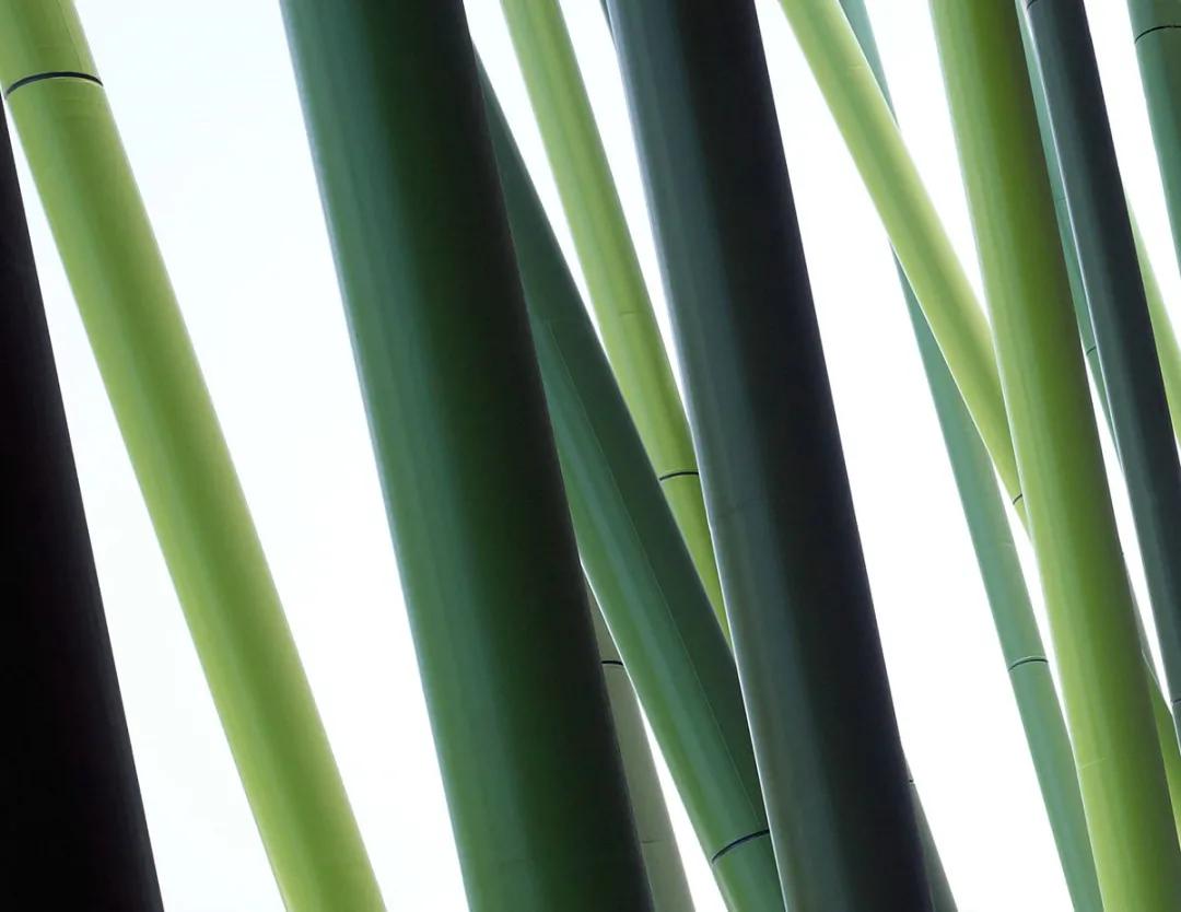 孙一民巡演,孙一民重庆