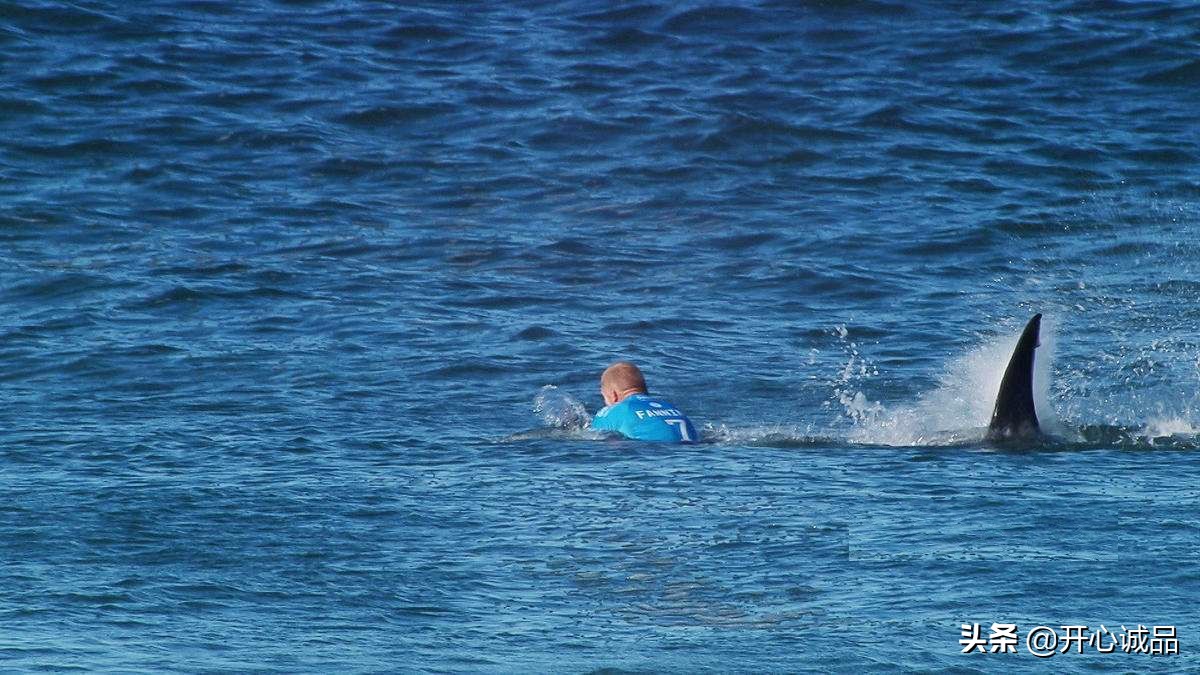 极限追捕猎杀最新消息,极限工作之捕杀鲨鱼