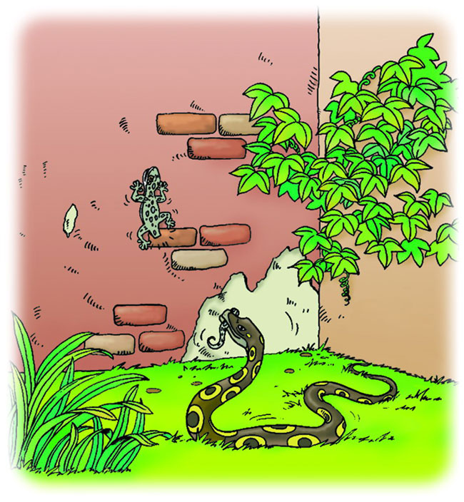 不同年代的小学课文插图,小学课文插图还记得多少