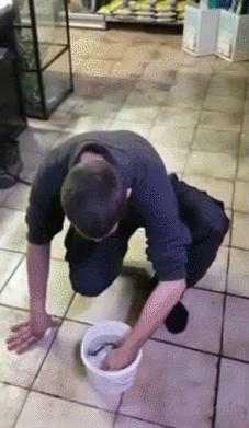 小伙玩了一下电鳗，直接口吐白沫倒下，我们该怎么和电鳗玩耍？