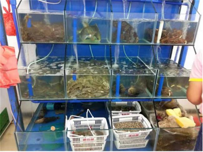 一家四口去三亚旅游既省钱又开心,带两个娃去三亚旅游