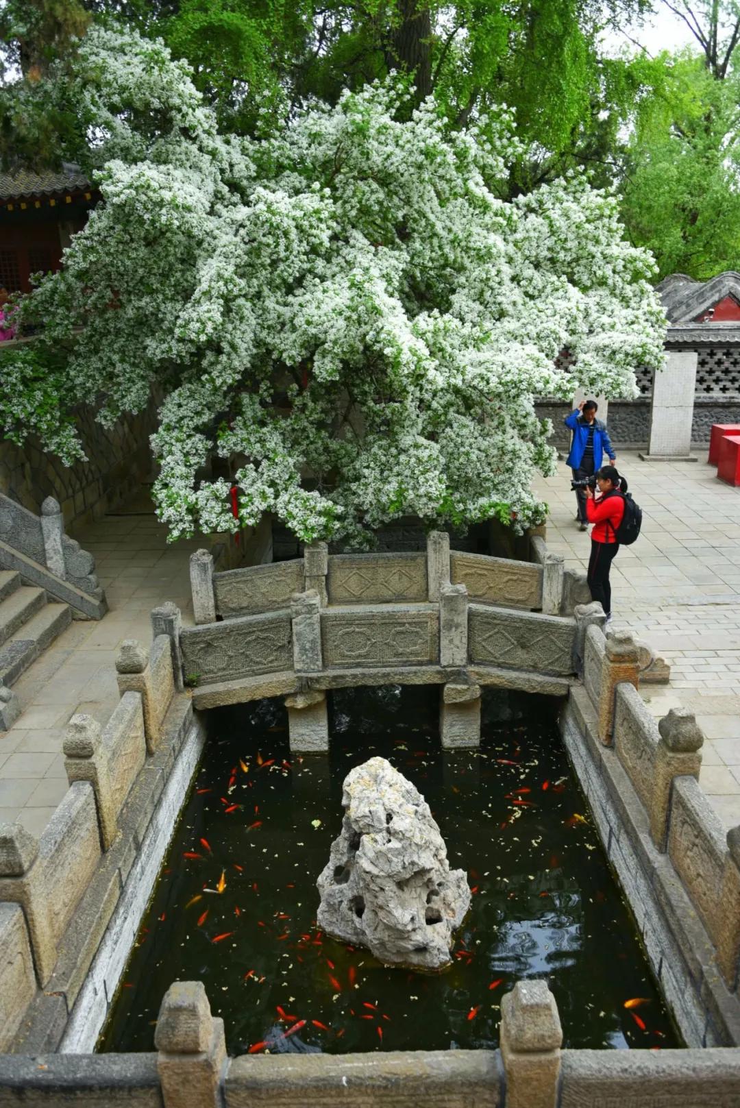 春水初生林初盛春,春水初生林初盛