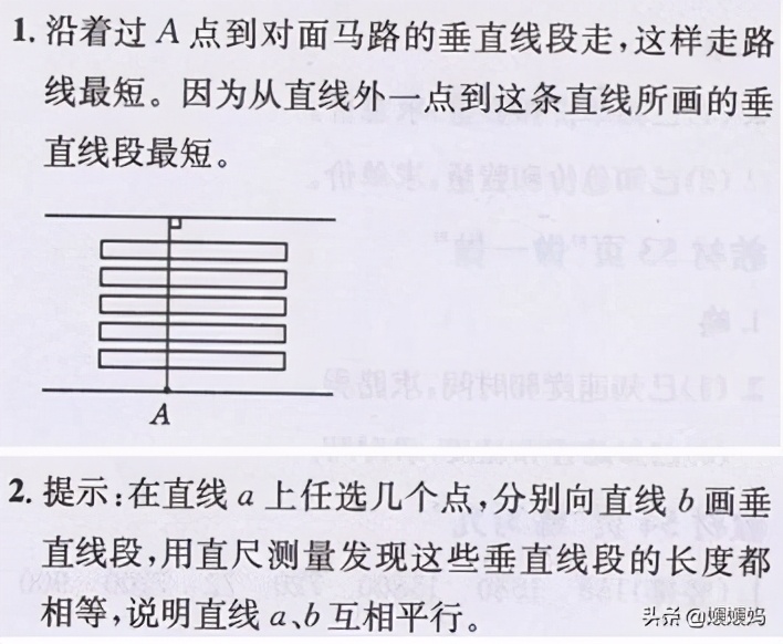 四年级线段射线和直线知识点整理,点到直线的距离四年级上册冀教版