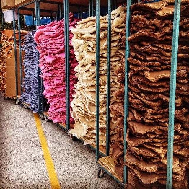 ugg澳洲款式,ugg有跟其他品牌联名吗