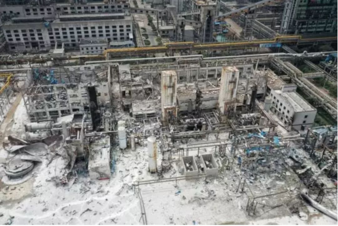 「避毒简讯」2019年07月-08月