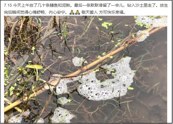 贴吧里的奇葩帖子,贴吧奇葩问题