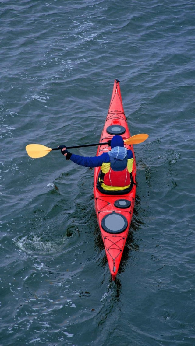 面对一个叛逆的弟弟我该怎么办,我应该如何面对痛苦