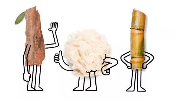 小李子与苹果总裁库克,库克和小李子