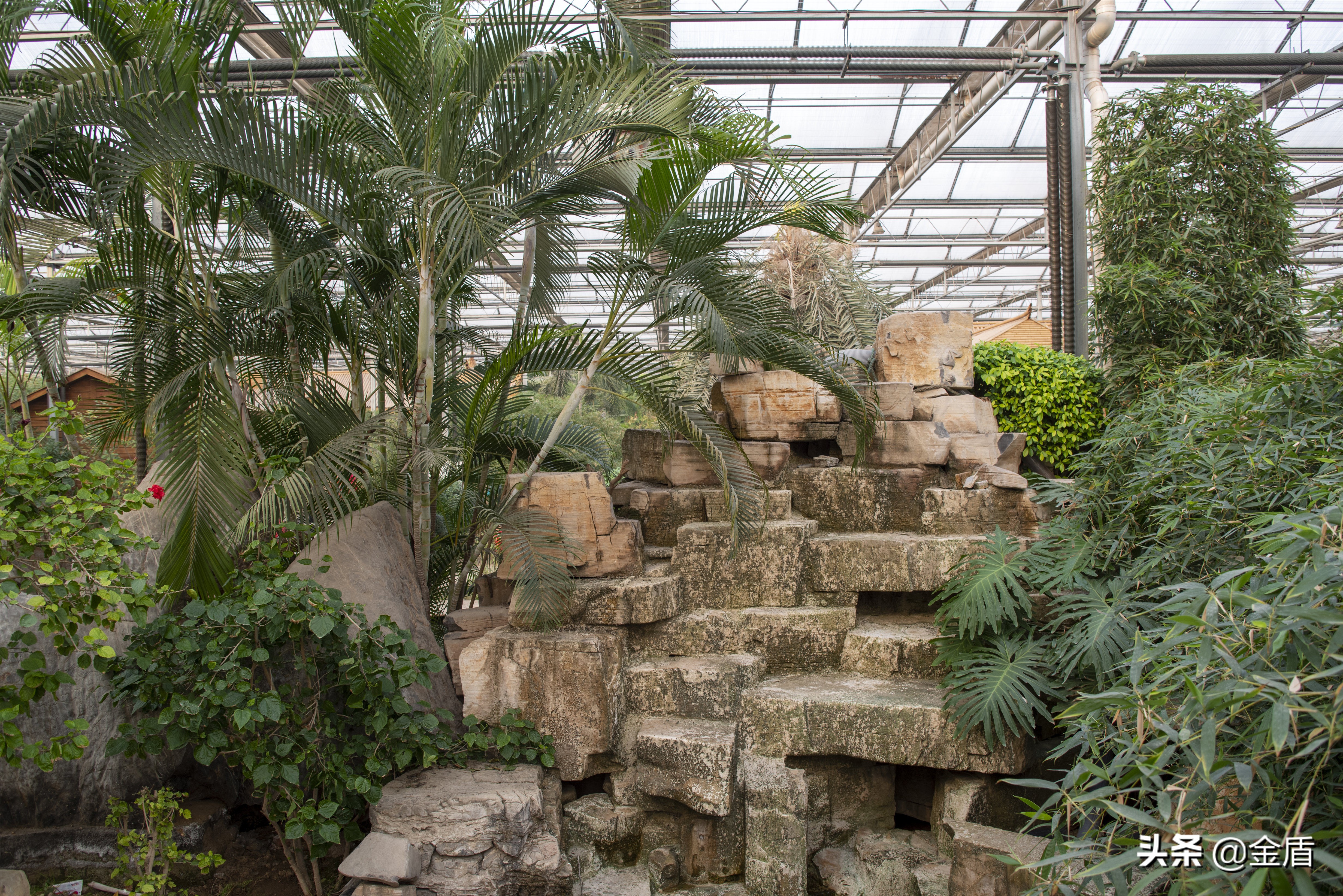 九天休闲谷好玩吗,九天休闲谷冬天开吗