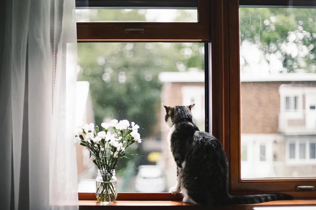 9月值得去做的十件事,九月最值得干的事