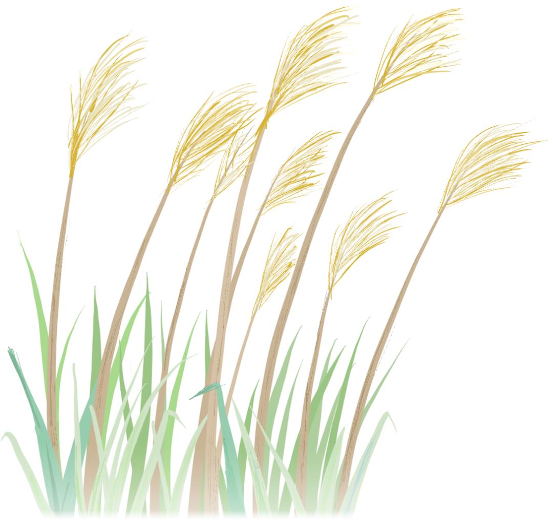 新加坡电信套餐哪个划算,新加坡电信公司套餐