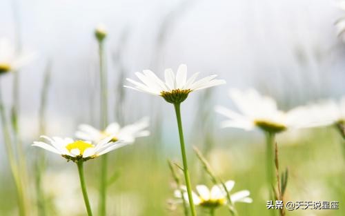 让人无法抵抗超级有魅力的星座女,越简单反而越有魅力的三大星座女