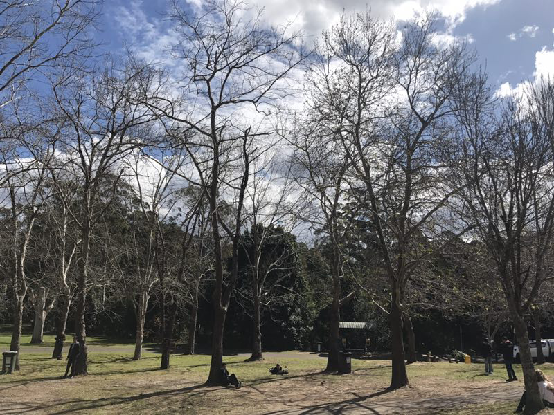 闃冲厜娴峰哺澶у浣嶇疆,闃冲厜娴峰哺澶у