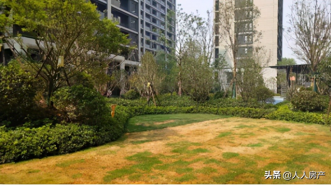 “网红”盘正弘府，没有惊喜，诸多遗憾